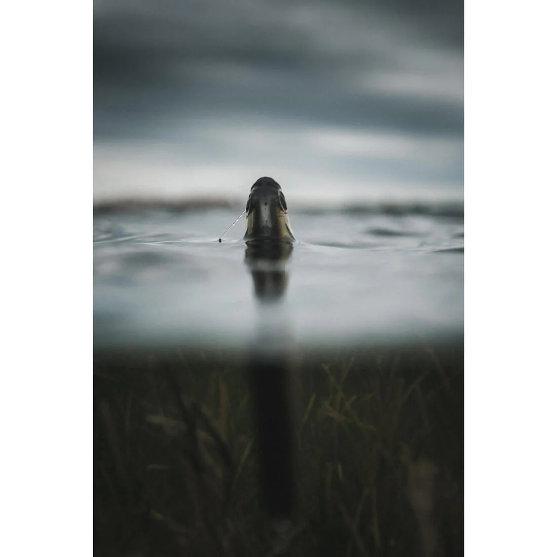 Image du produit 30
