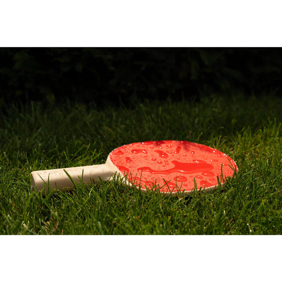 Image du produit 12