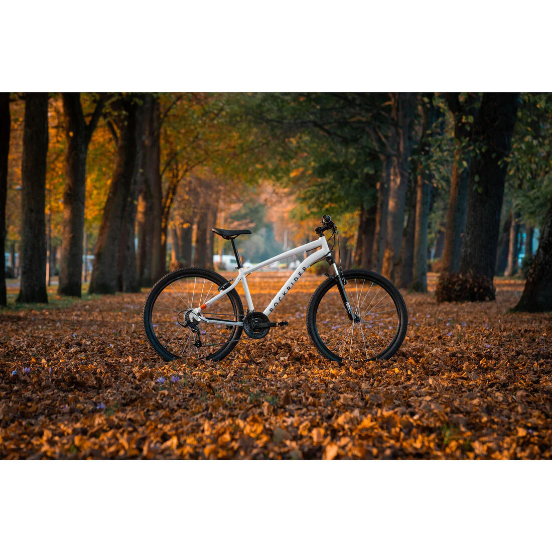 Image du produit 26