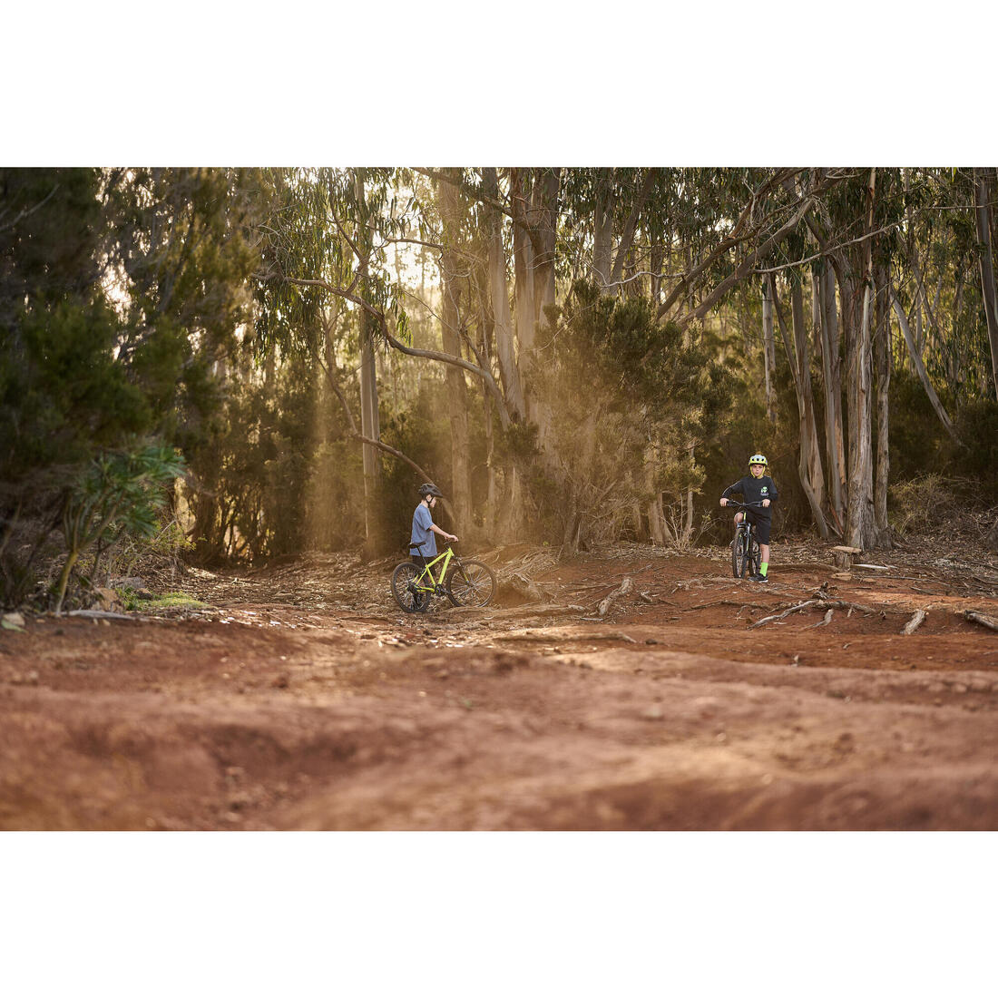 Image du produit 29